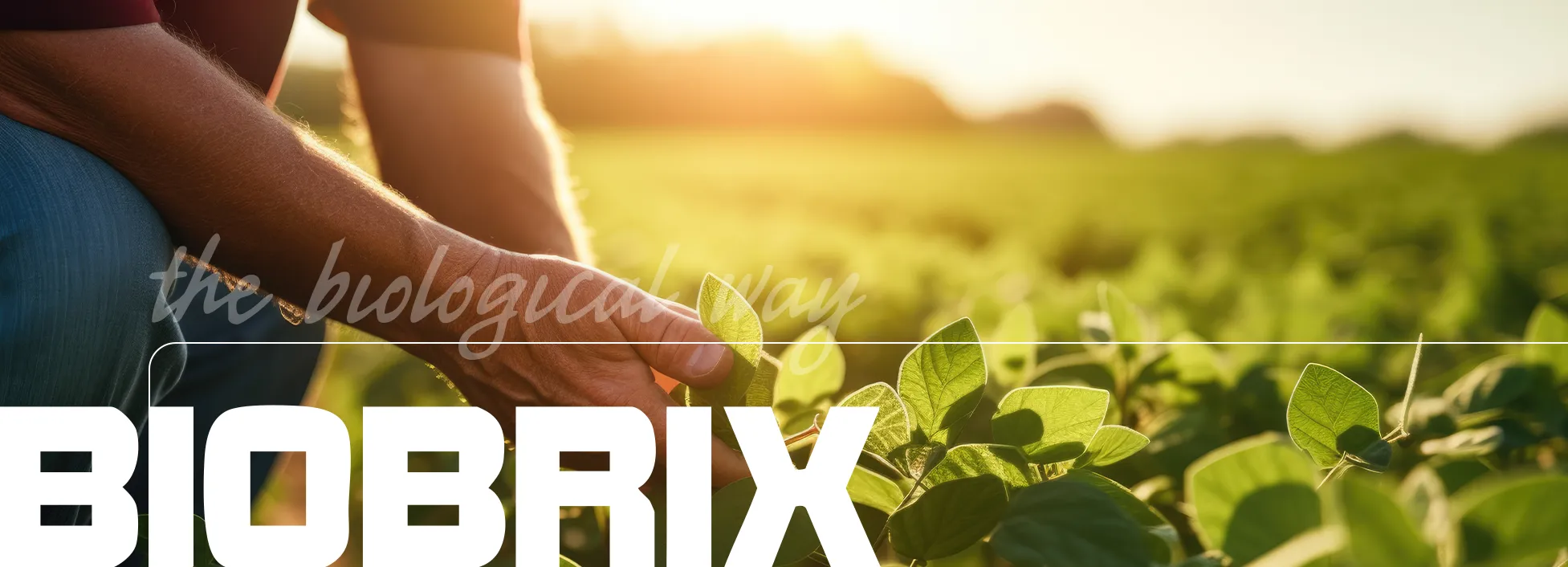 Why Regenerative, Biological Farming Matters | Our Vision